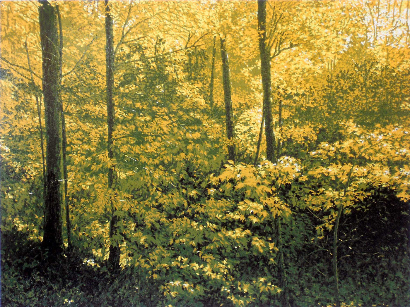 Abundant Earth