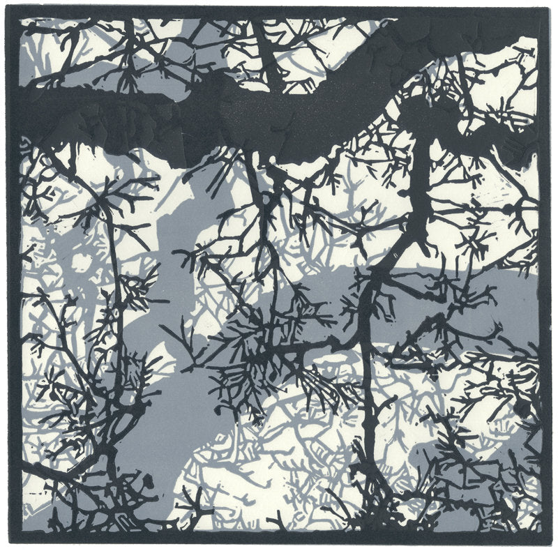 Winter Sky