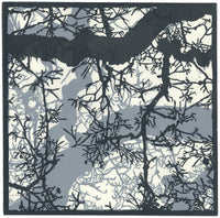 Winter Sky
