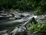 Chattooga River by Will Connor (Color Photograph)