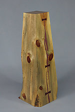 Large Display Pedestal by Craig Demmon (Wood Pedestal)