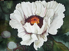The Last White Poppy by Helen Klebesadel (Giclee Print)