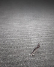 Feather in Sand Number 2 by Steven Keller (Black & White Photograph)