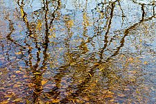 Reflecting Lake by Jed Share (Color Photograph)