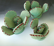 Succulent Series by Lenore Lampi (Ceramic Sculpture)