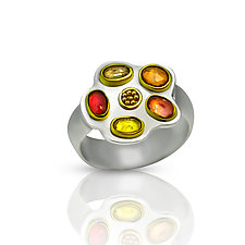 Jewel Box Rings by Nancy Troske (Gold, Silver & Stone Ring)