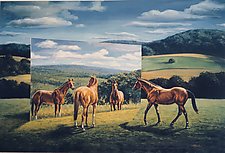 Equine Reflections by Werner Rentsch (Giclee Print)