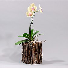 Bronze Metallic Glazed Orchid Pot With Gold Accents by Lois Sattler (Ceramic Vase)