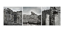 Triptych of Iguana - Tulum Ruins 1 by Steven Keller (Color Photograph)