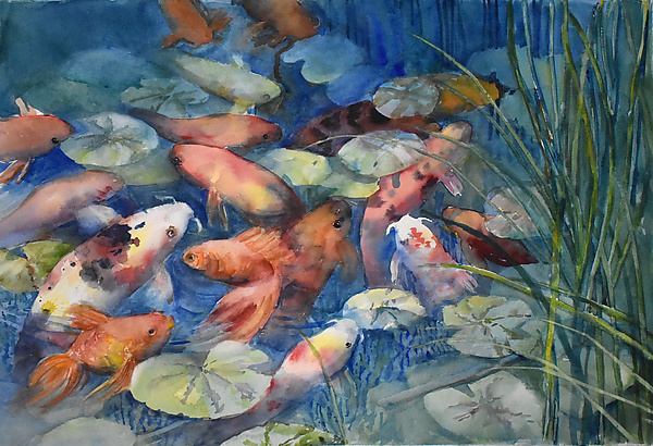 A Visit to the Koi Pond