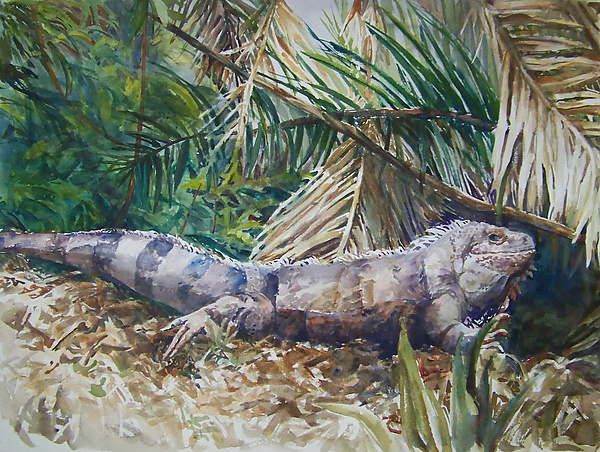 Iguana by Terrece Beesley (Watercolor Painting) | Artful Home