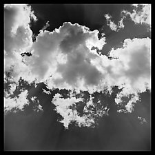 Clouds Wall Panel by Jenny Lynn (Black & White Photograph)