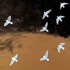 Flight by Marcie Jan Bronstein (Color Photograph)