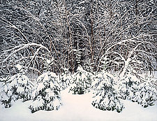 Ottawa Winter by Scott Zupanc (Giclée Print)