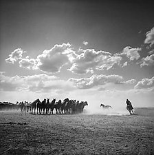 The Escapee by Adam Jahiel (Black & White Photograph)