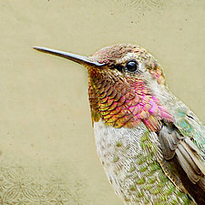 Love Hummingbird by Yuko Ishii (Color Photograph)