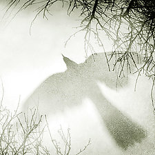 Courage III by Yuko Ishii (Black & White Photograph)