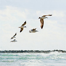 Summer Waves and Birds by Yuko Ishii (Color Photograph)