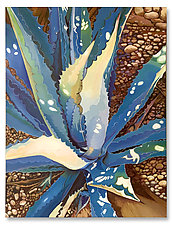 Agave III by Anne Nye (Acrylic Painting)