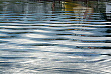 Aquatic Repetition by Cindy A. Stephens (Color Photograph)