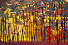Brightly Lit Woods by Ken Elliott (Oil Painting & Giclee Print)