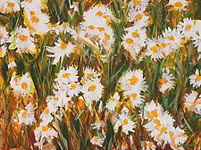 Daisies! by Shannon Bueker (Acrylic Painting)