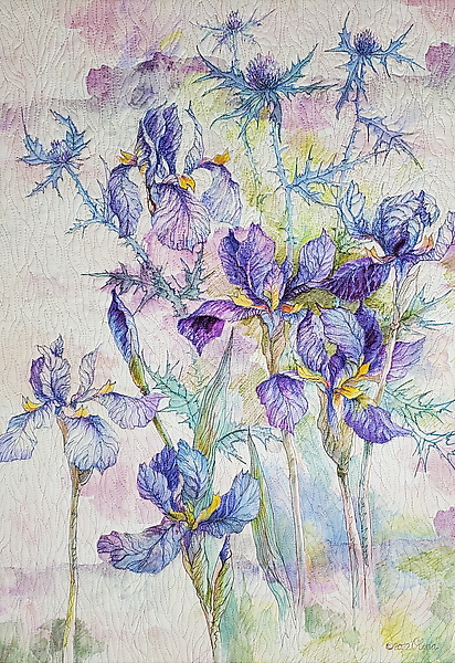Irises and Thistle