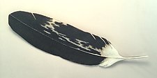 Eagle Feather Sculpture by Michael Dupille (Art Glass Wall Sculpture)