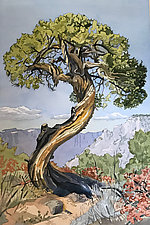 The Old Juniper Tree by Meredith Nemirov (Giclee Print)