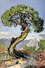 The Old Juniper Tree by Meredith Nemirov (Giclee Print)