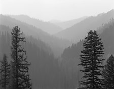 Hazy Valley by William Lemke (Black & White Photograph)
