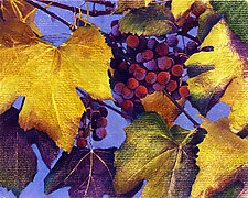 Grape Harvest by Jane Sterrett (Giclee Print)