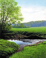 Spring Morning - Elvers Creek by Steven Kozar (Giclee Print)