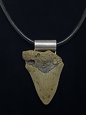 Ancient Shark Tooth Pendant by Shirley Wagner (Fossil Necklace)