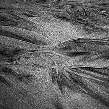 Sand Pattern 1 by Gloria Feinstein (Black & White Photograph)