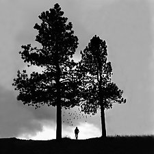 Hiker by Gloria Feinstein (Black & White Photograph)