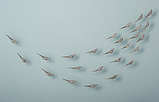 Set of 25 Birds in Flight by Jenifer Thoem (Ceramic Wall Sculpture)