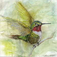 Hummingbird 001 by Laura Lebeda (Giclee Print)