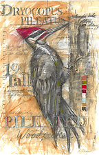 Pileated Woodpecker by Laura Lebeda (Giclee Print)