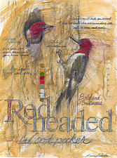 Redheaded Woodpeckers by Laura Lebeda (Giclee Print)