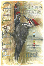 Pileated Woodpecker with Fledglings by Laura Lebeda (Giclee Print)