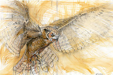 Great Horned Owl 1 by Laura Lebeda (Giclee Print)