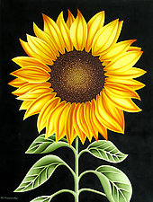 Sunflower by Michael Kuseske (Oil Painting)