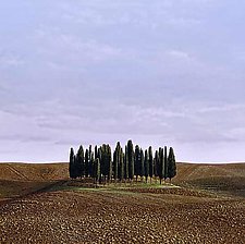 San Quirico D'Orcia by Christopher Young (Pigment Print)