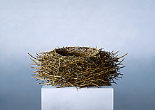 Nest by Christopher Young (Pigment Print)