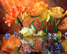 Bouquet on Glass by Randall G Dana (Color Photograph)
