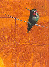 Hummingbird on Orange Fern by Sylvia Gonzalez (Giclee Print)