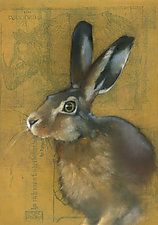 Jack Rabbit on Rhino by Sylvia Gonzalez (Giclee Print)