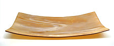 Petrified Golden Wood Glass Tray by Stacey Abrams-Sherick (Art Glass Tray)