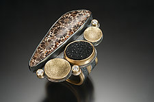 Petrified Coral and Druzy Ring by Beth Solomon (Gold & Stone Ring)
